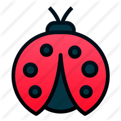 Ladybug - Free Animals Icons Clip Art Png