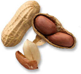 Peanut Butter Banana - Almond Vs Peanut Nutrition Png