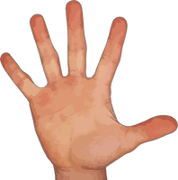 Hand With Five Fingers - Free PNG