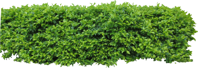 Hedge Png 1 Image - Hedge Png