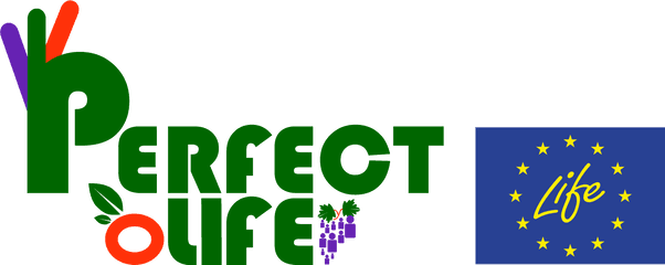 Perfect Life - Perfect Logo Png