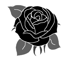 Black Rose - Illustration Png