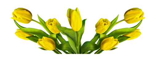 Flower Easter Free HQ Image - Free PNG