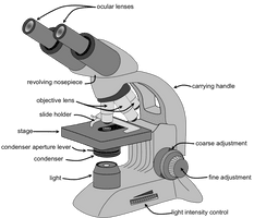 Microscope Basic Free Download Image - Free PNG