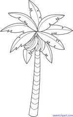 Download Banana Tree Drawing Easy Hd - Banna Tree Easy Drawing Png