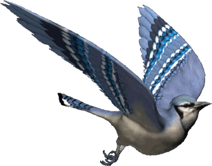 Great Animated Bird Gifs - Animated Bird Sitting Gif Png