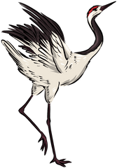 Pretty Crane Bird Ad In 2020 - Long Png