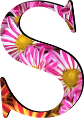 Flower Pattern Letters S - Number Png