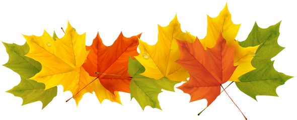 Transparent Leaf Clip Art - Clear Background Fall Leaves Clipart Png