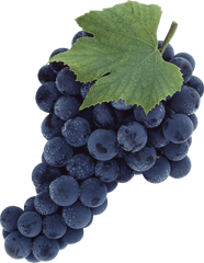 Grape Clip Art - Black Grapes Png