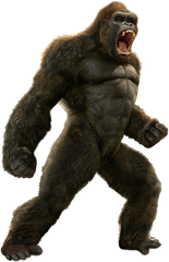 King Kong - King Kong Png