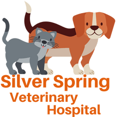 Silver Spring - Kitten Png