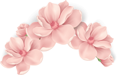 Pink Painted Flowers Vector Hand Png - Peach Flower Vector Png
