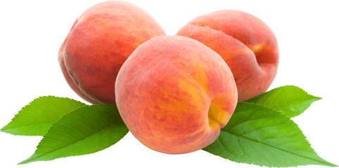 Peach Png Icon - Cartoon Picture Of Peaches