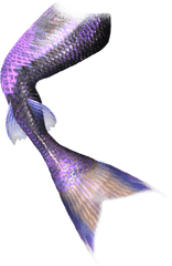 Mermaid Tail Computer File - Realistic Mermaid Tail Png