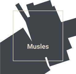 Musles Clothing Hoodie U2013 Media Store - Stf Store Png