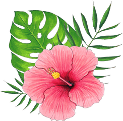 Download Hand Painted A Hibiscus Flower - Pink Hibiscus Flower Png