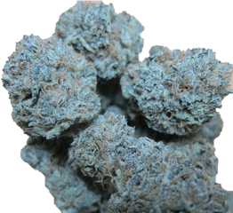 Download Blue Weed Nugs - Weed Blue Png Transparent