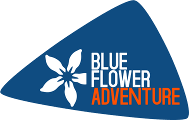 Blue Flower Adventure - Graphic Design Png
