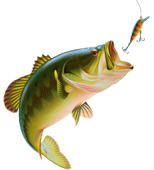 Fishing Transparent Images Png Arts - Fishing Png