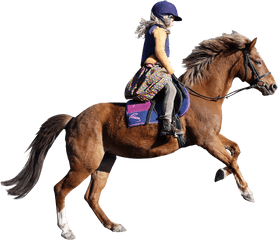 Horse Png Image For Free Download - Girl On A Horse Png