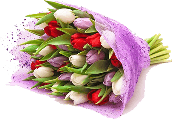 Flower Bokeh Png Tulip Bouquet Tulips Real