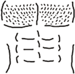 Chest Hair - Transparent Roblox Chest Hair T Shirt Png