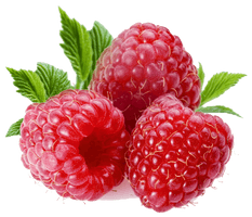 Raspberry Transparent - Free PNG