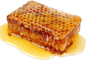 Transparent Noms - Bee Propolis Honey Png