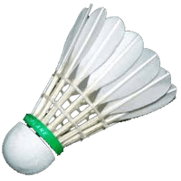 Badminton Transparent - Free PNG