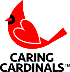 Arizona Cardinals - Cardinal Png