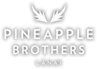 Home Pineapple Brotherspineapple Brothers Professionally - Language Png