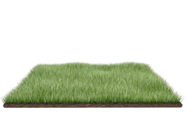 Field Grass Mat HD Image Free - Free PNG