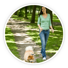 Dog Walking By Belltown Walker Vip Pet Services Inc - Northern Breed Group Png