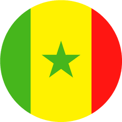 Senegal U2013 Beach Soccer Worldwide - Senegal Flag Country Png