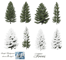 Fir-Tree Free Png Image