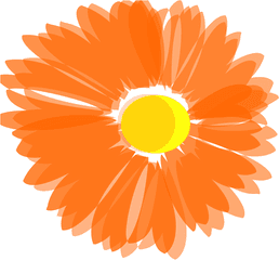 Vector Orange Floral Transparent Png - Orange Flower Vector Png