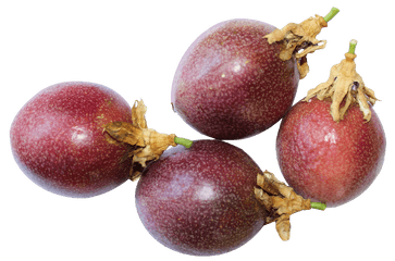 Passion Fruit Png Image