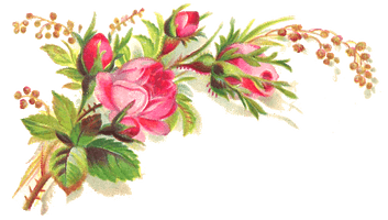 Pink Roses Flowers Bouquet Transparent Background - Free PNG