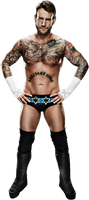 Cm Punk Transparent Image - Free PNG