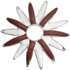 Brown White Flower - Cut Flowers Png