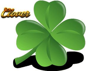 Clover Png Pic