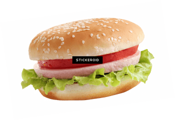 Download Burger - Hamburger Png Image With No Background Veg Burger Png