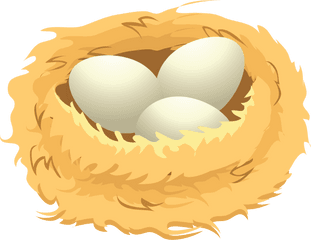 Nest Png - Eggs In Nest Clipart