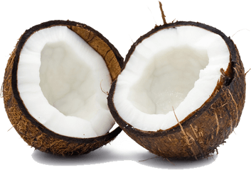 Coconut Png Transparent Images - Coconut Free