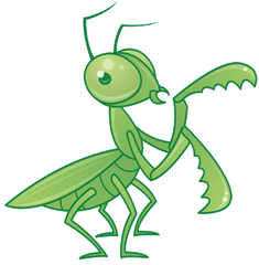 Mantis Transparent Png - Cute Praying Mantis Drawing