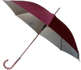 Png Image With Transparent Background - Umbrella