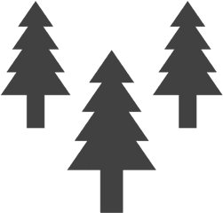 Tree Christmas Glyph Icons Png - Png 797 Free Png Images Christmas Tree