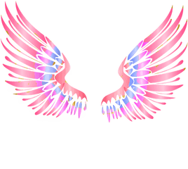 Colorful Angels Wings Png - Gold Wings Transparent Background