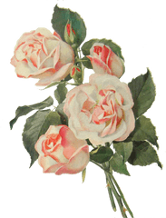 Vintage Flower Art Png 2 Image - Transparent Vintage Flower Png